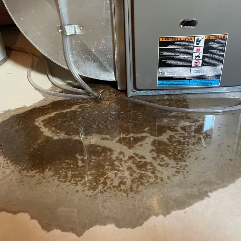 Pipe Burst and Leak Restoration in Olmsted County, MN