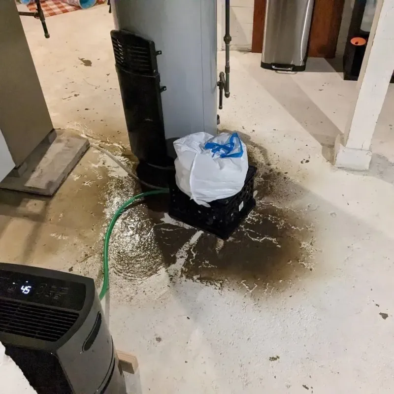 Sewage Backup Cleanup Service in Olmsted County, MN